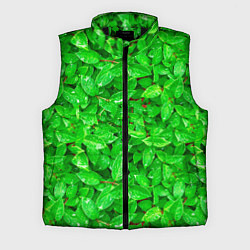 Мужской жилет Зелёные листья - текстура, цвет: 3D-черный