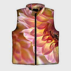 Мужской жилет Оранжевые георгины лепестки, цвет: 3D-черный