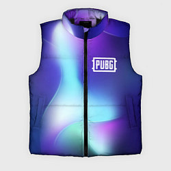 Мужской жилет PUBG northern cold
