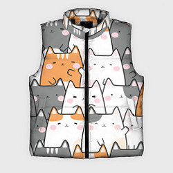 Мужской жилет Семья котиков, цвет: 3D-черный