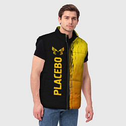 Мужской жилет Placebo - gold gradient: по-вертикали, цвет: 3D-черный — фото 2