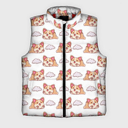 Мужской жилет Corgi dreams