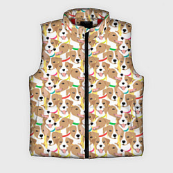 Мужской жилет Джек рассел терьер в разноцветных ошейниках