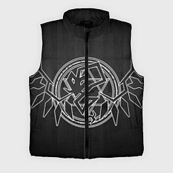 Мужской жилет Touhou Project Эмблема Фландр Скарлет, цвет: 3D-черный