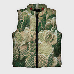 Мужской жилет Поле кактусов, цвет: 3D-красный