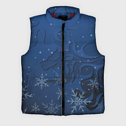 Мужской жилет Ледяной дракон 2024, цвет: 3D-красный