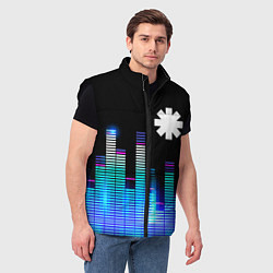 Мужской жилет Red Hot Chili Peppers эквалайзер, цвет: 3D-черный — фото 2