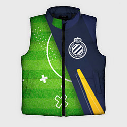 Мужской жилет Club Brugge football field, цвет: 3D-черный