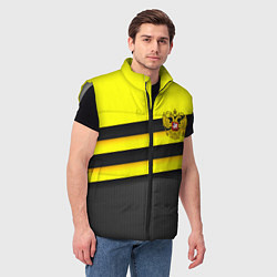 Мужской жилет Герб РФ геометрия линии, цвет: 3D-светло-серый — фото 2