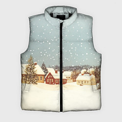 Мужской жилет Дома и снежное небо, цвет: 3D-черный
