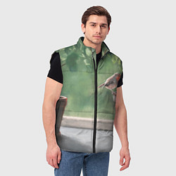 Мужской жилет Птичка малиновка, цвет: 3D-черный — фото 2