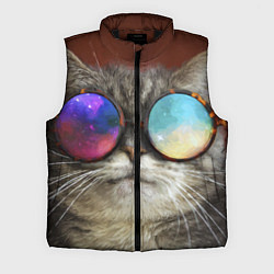 Мужской жилет A Cat with multicolored glasses, цвет: 3D-черный