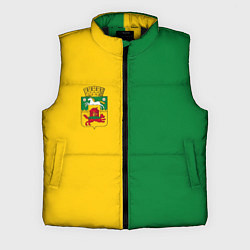 Мужской жилет Новокузнецк, зелёно-жёлтый, герб и надпись на спин, цвет: 3D-черный