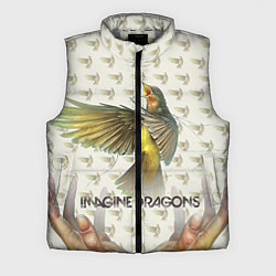 Мужской жилет Imagine Dragons: Fly, цвет: 3D-светло-серый