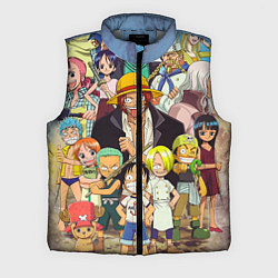 Мужской жилет One Piece, цвет: 3D-светло-серый