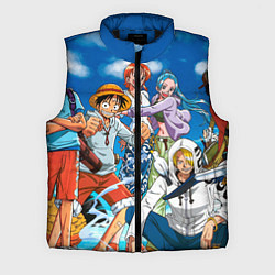 Мужской жилет One Piece
