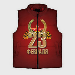 Мужской жилет 23 февраля, цвет: 3D-красный