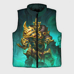 Мужской жилет Wraith King, цвет: 3D-черный
