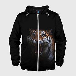 Ветровка с капюшоном мужская Тигр, цвет: 3D-белый