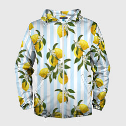 Ветровка с капюшоном мужская Лимоны, цвет: 3D-белый
