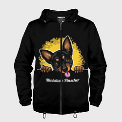 Ветровка с капюшоном мужская Пинчер Miniature Pinscher, цвет: 3D-черный