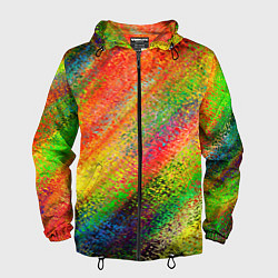 Мужская ветровка Rainbow inclusions