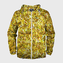 Мужская ветровка Золотые ленточки