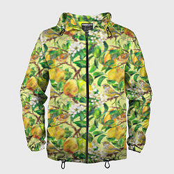 Ветровка с капюшоном мужская Птица на грушевом дереве, цвет: 3D-черный