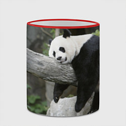 Кружка 3D Большая уставшая панда, цвет: 3D-красный кант — фото 2
