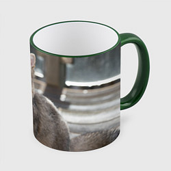 Кружка 3D Британская короткошёрстная кошка смотрит вверх, цвет: 3D-зеленый кант