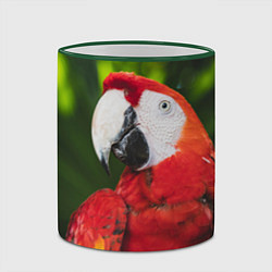 Кружка 3D Красный попугай Ара, цвет: 3D-зеленый кант — фото 2