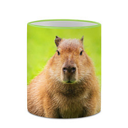 Кружка 3D Capybara on green grass, цвет: 3D-светло-зеленый кант — фото 2