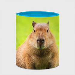 Кружка 3D Capybara on green grass, цвет: 3D-белый + небесно-голубой — фото 2