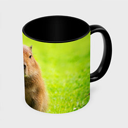 Кружка 3D Capybara on green grass, цвет: 3D-белый + черный