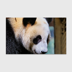 Бумага для упаковки Загадочная панда, цвет: 3D-принт
