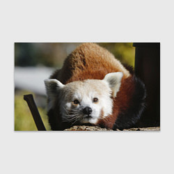 Бумага для упаковки Красная панда ждёт, цвет: 3D-принт