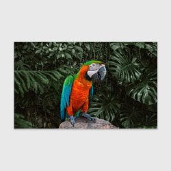 Бумага для упаковки Попугай Макао, цвет: 3D-принт