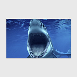 Бумага для упаковки Белая акула, цвет: 3D-принт