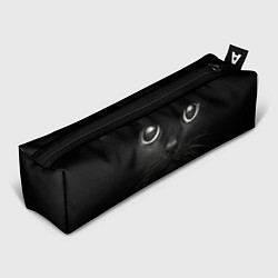 Пенал для ручек Взгляд чёрного кота, цвет: 3D-принт