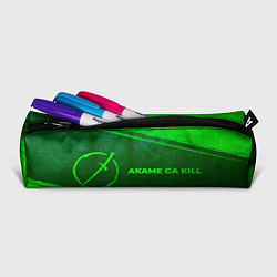 Пенал для ручек Akame ga Kill - green gradient по-горизонтали, цвет: 3D-принт — фото 2