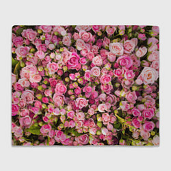 Плед флисовый Розовый рай, цвет: 3D-велсофт