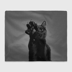 Плед флисовый Черный котик, цвет: 3D-велсофт