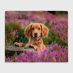 Плед флисовый Dog, цвет: 3D-велсофт