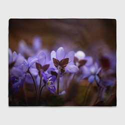 Плед флисовый Хрупкий цветок фиалка, цвет: 3D-велсофт