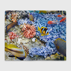 Плед флисовый Морской мир, цвет: 3D-велсофт