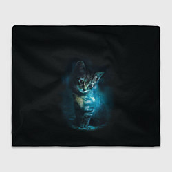 Плед флисовый Красивый кот, цвет: 3D-велсофт
