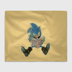 Плед флисовый Соник с книжкой, цвет: 3D-велсофт