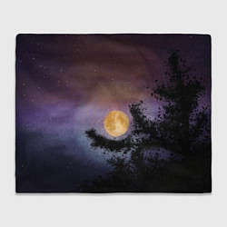 Плед флисовый Night sky with full moon by Apkx, цвет: 3D-велсофт