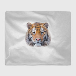 Плед флисовый Тигр рыжий полосатый, цвет: 3D-велсофт