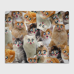 Плед флисовый Много кошек с большими анимэ глазами, цвет: 3D-велсофт